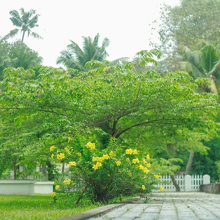 ホテルMuziris Harbour View Kochi エクステリア 写真