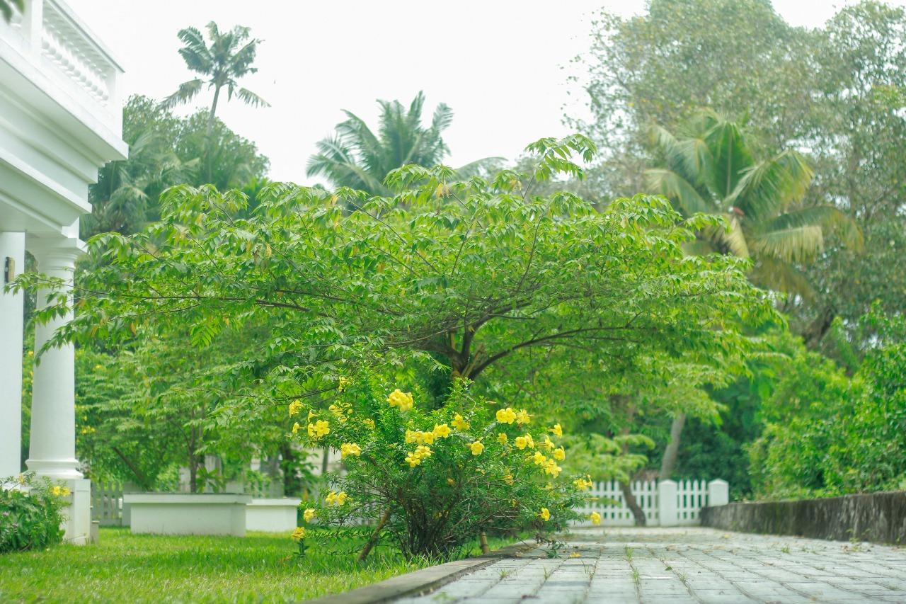 ホテルMuziris Harbour View Kochi エクステリア 写真
